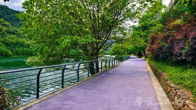 皖浙摩旅二人转——千岛湖环湖篇（下）