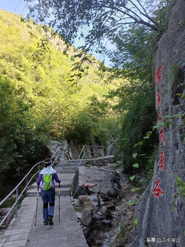 无为在歧路，白露潭溪山