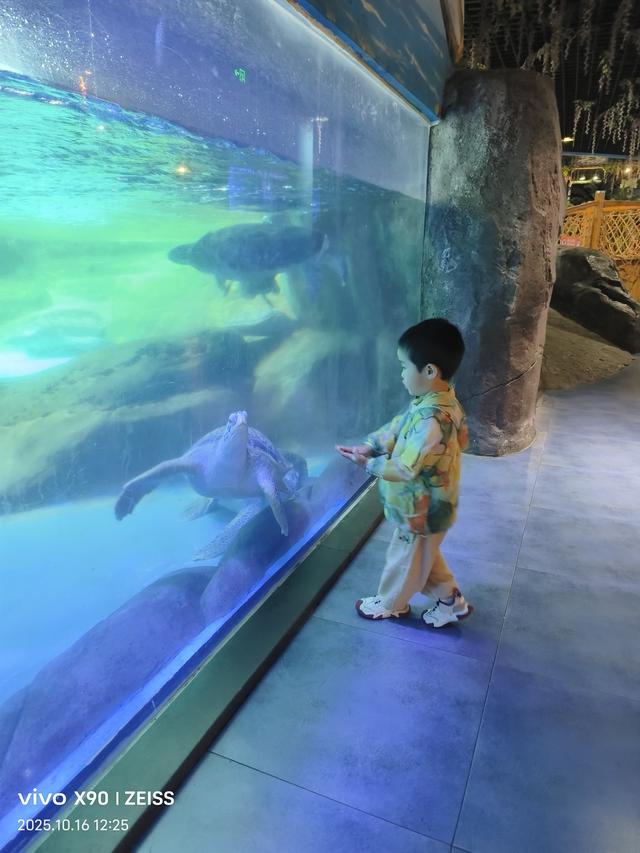 成都 极地海洋公园（58）2025年10月16日