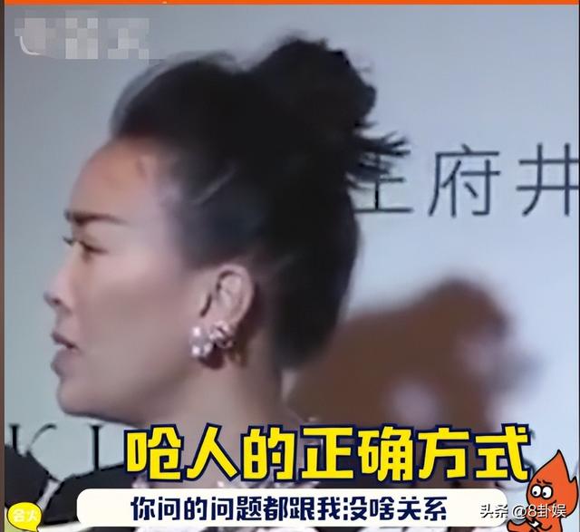 出轨风波真相大白仅2个月，那英近况曝出，马伊琍一个字都没说错