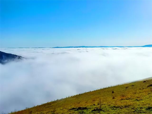 邂逅浪漫秘境 拥抱灵气氧吧