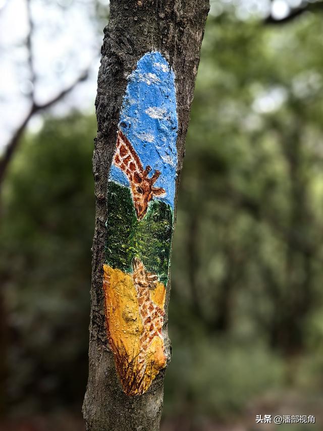 登无锡吼山，观沿途风景