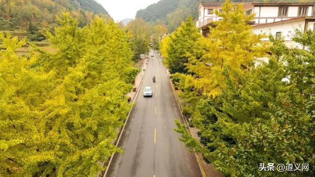 悦·遵义丨是心动呀！遵义，你这么好看！