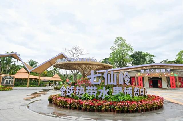 24位晋级仙女集结保亭，开启集训之旅→