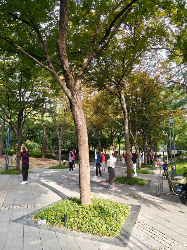 鹏少眼中的上海：亮点确实多，但也有槽点