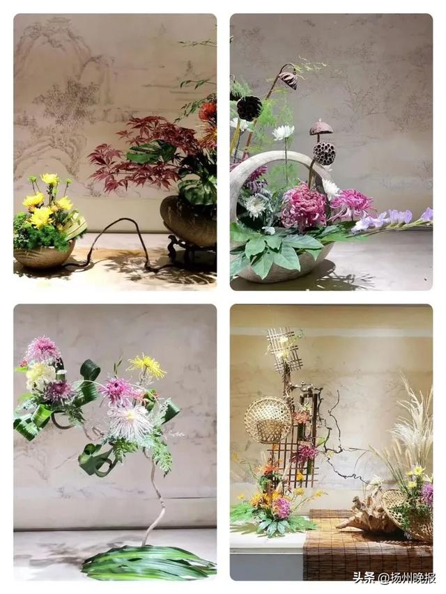 瘦西湖菊花会11月1日开幕,看看有啥亮点?