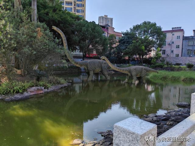 来河源才知道河源是中国恐龙之乡，挖掘出的恐龙蛋超级多