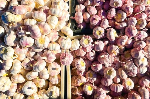 秋色满筐 早市上的色彩交响