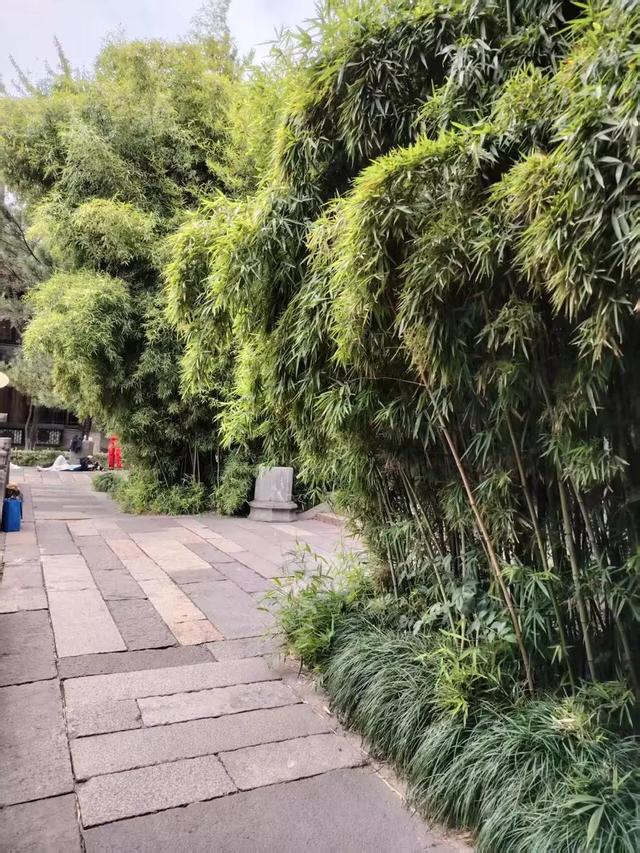 又来浙江乌镇西栅，感受木心似水年华