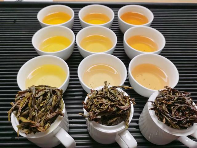 一饼普洱茶的漫长旅程：从云南深山到消费者手中竟需这么多手！