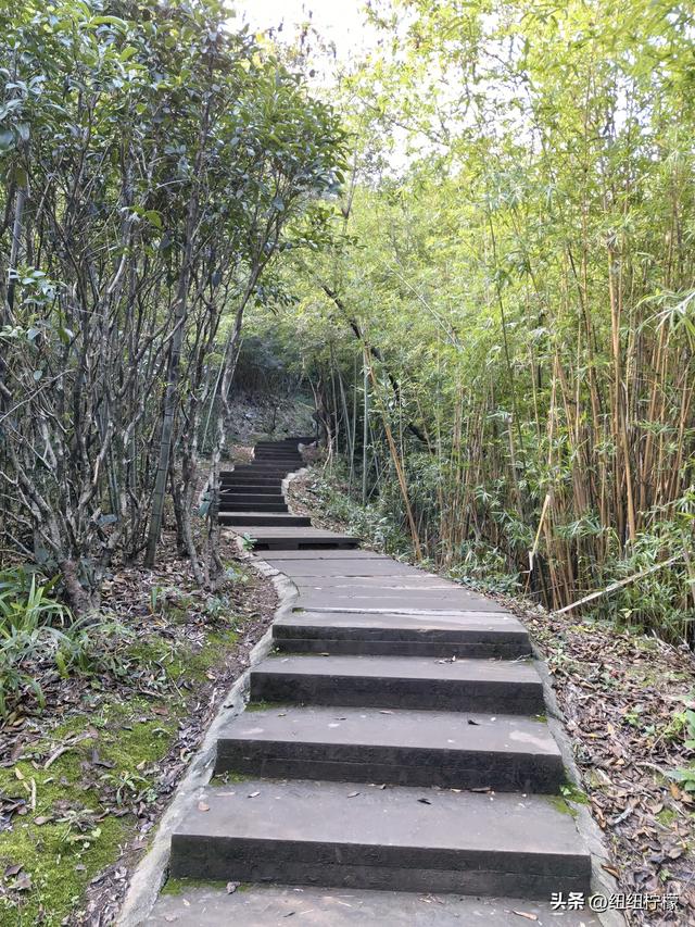 户外徒步之挑战缙云九峰，从健身梯道到狮子峰，走了四小时