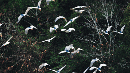 快来抱抱~ | Welcome to 疯狂·武夷山·动物城