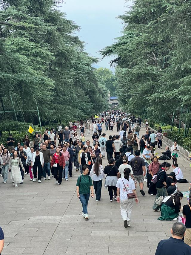 中山陵游人如织
