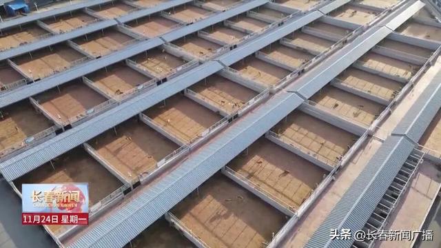 高质量发展新答卷丨双阳区：“鹿”鸣林海促融合 文旅赋能绘新卷