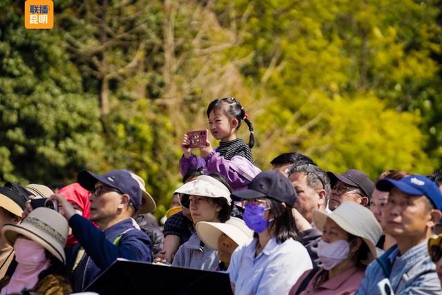 在樱花树下,看见春天!2026洛龙公园第三届樱花节开幕首日迎5万人次打卡