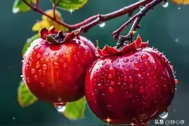 自己才是最重要的！13句不烦恼，别当真，明明白白做自己图片