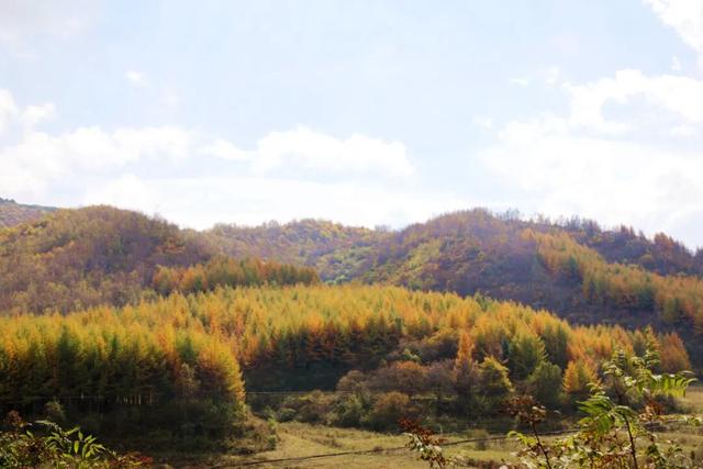 兰仓秋，染山河。