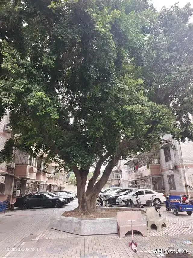 德源日记：三十年回母校——广东省农业银行学校