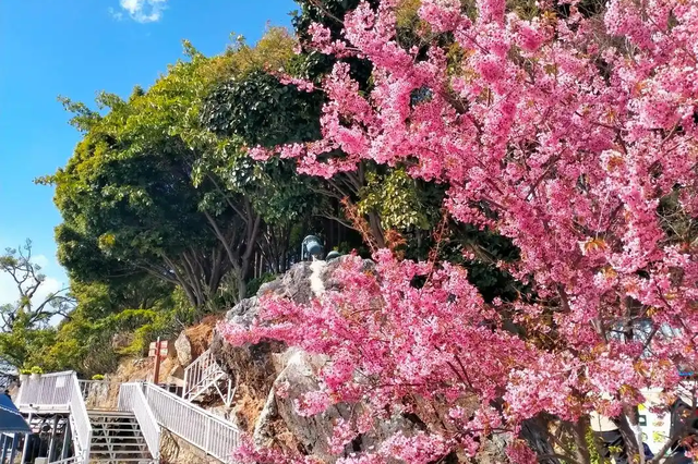 大理苍山到底有多危险？明明已成旅游区，为何还是禁区？