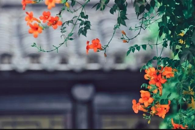 晚上不吃饭有什么好处?怎么坚持?适合什么人?