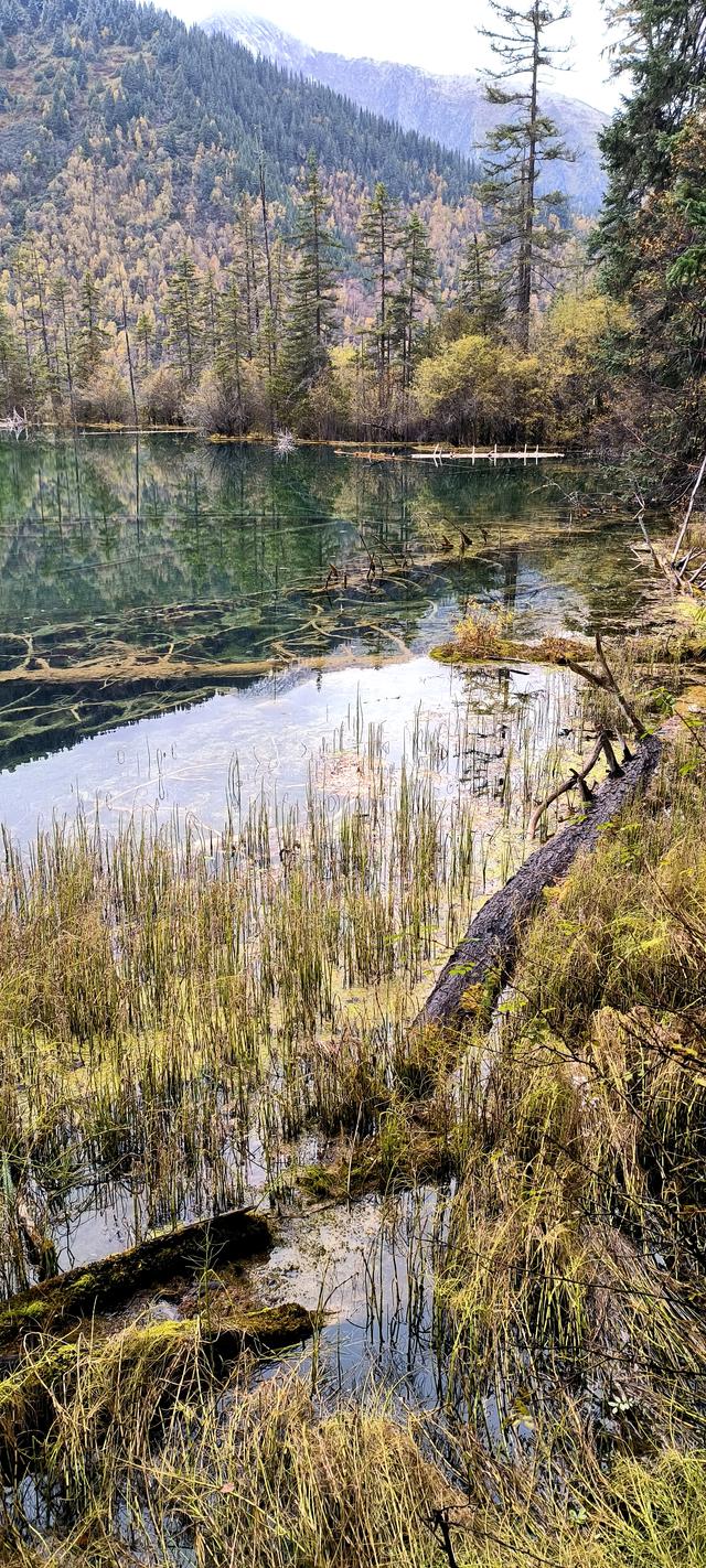 神仙池（一）竖幅