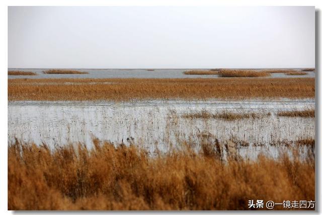 深秋时节，走进长春农安的波罗湖湿地