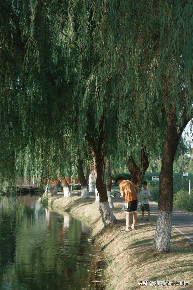 长沙人有自己的“东方明珠”？初秋，带娃往高处去！