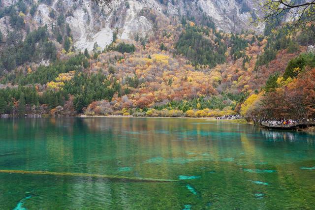 光影札记 | 秋染九寨：一半湖水蓝，一半山林红
