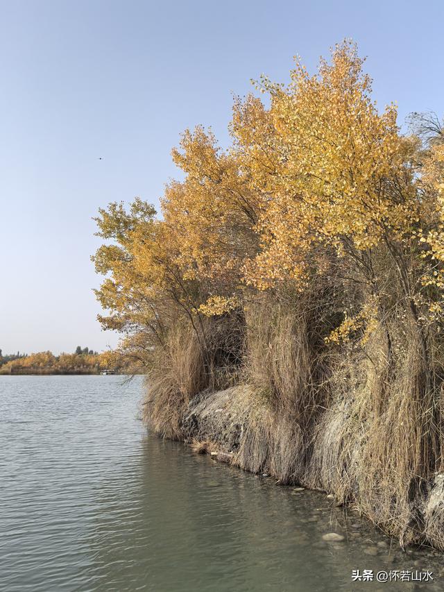 2025环南疆沙漠铁路背包自由行日记(4)——游览泽普金湖杨景区