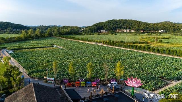 湖南衡阳周边赏荷、K歌、遛娃一站搞定，周末冲！