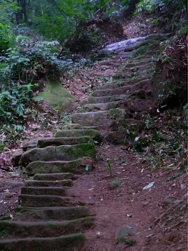 “崃”徒步｜在竹海茶山间，听山风吟唱丝路往事