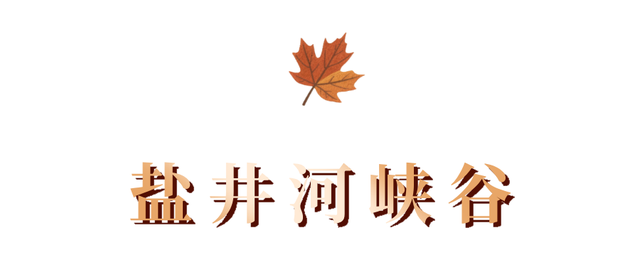 广元旺苍，倒也不必美得如此满分！！！