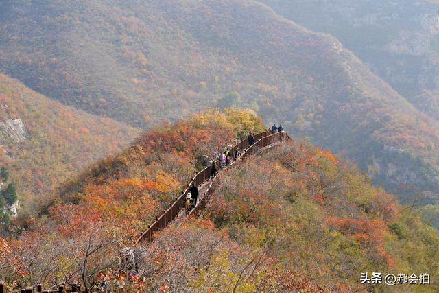 焦作窄门的深秋色彩！走五彩步道，赏太行红叶