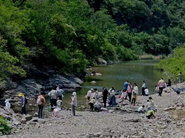 离开浪浪山，来巩义看看！