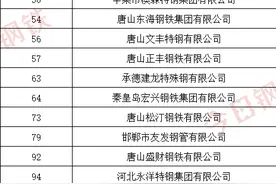 河北100强震撼发布！河钢、德龙、鑫达、东华、文丰、津西...图片