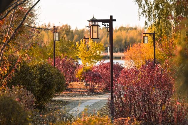 吉视界 | 北湖秋日限定 “颜值” 上线