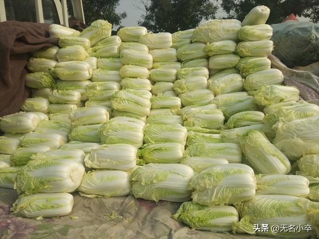 作为一个南方人，到东北旅游被震惊到了，觉得简直是“太离谱”了