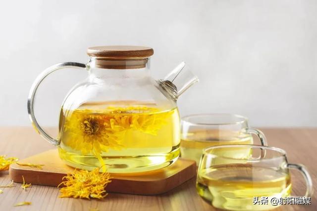 秋游射阳，这片菊海藏不住了！