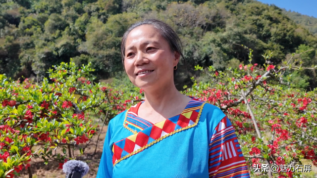 花季打卡石屏横山村 ：藏在山间的那一抹红