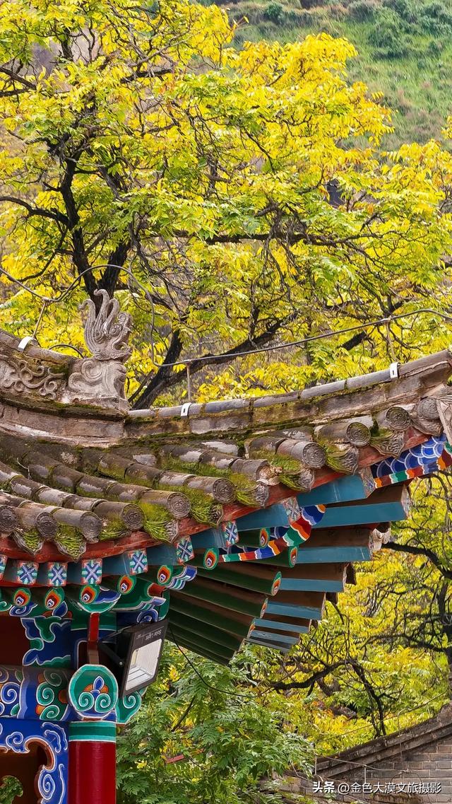 秋染五泉山：兰州城畔的千年诗意与一季斑斓​​