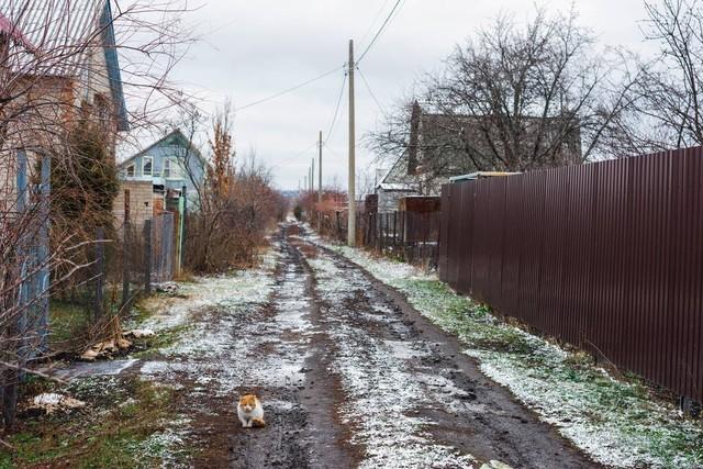 新来女秘书业务不熟，我手把手教她，她身上的香水味让我有点分心