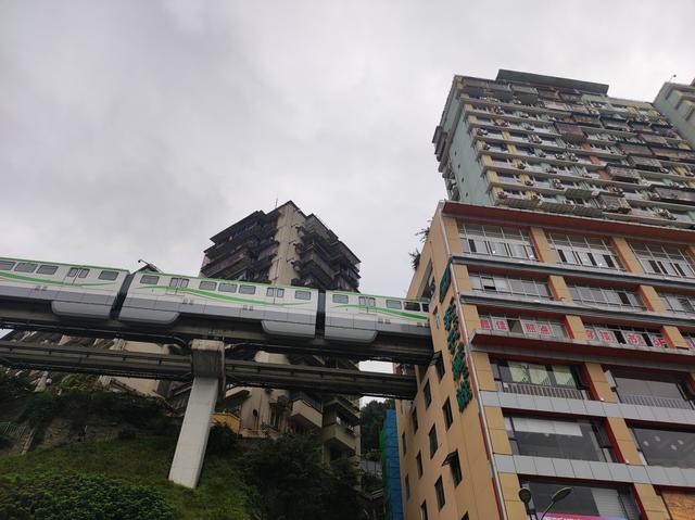 重庆这座城市，把我的腿走细了，把我的胃撑大了