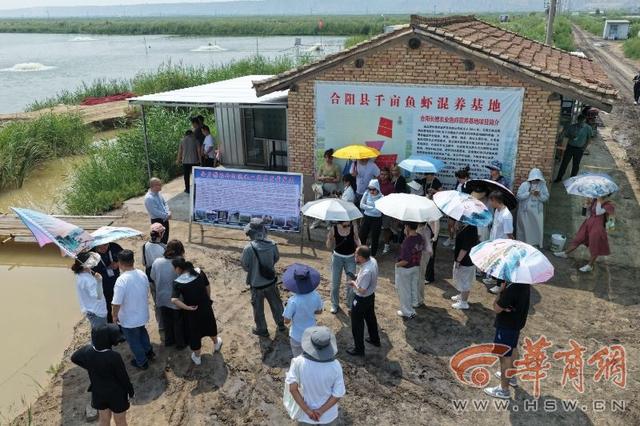 大河奔涌万象新丨渭南合阳：诗经故里奏响黄河流域生态“交响曲”