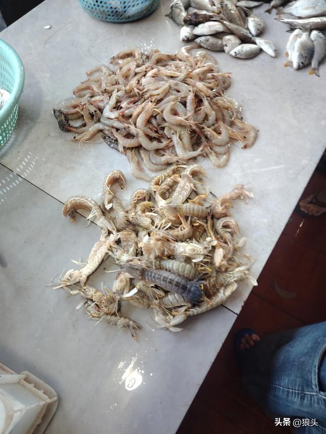游记：名不经传的龙门镇