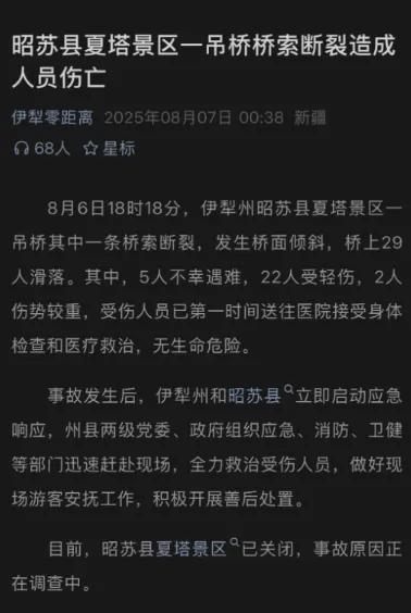 将军桥又断了!新疆网红桥惨烈事故,锈缆早预警,真怪大妈晃桥?