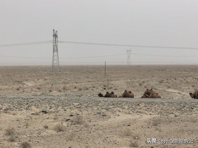 喀什经317到成都，和田-于田-民丰，先绕行和田翡翠湖