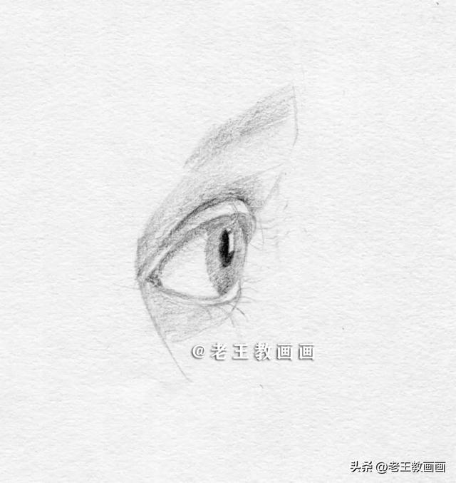 眼睛怎么画？详细教你画一幅！