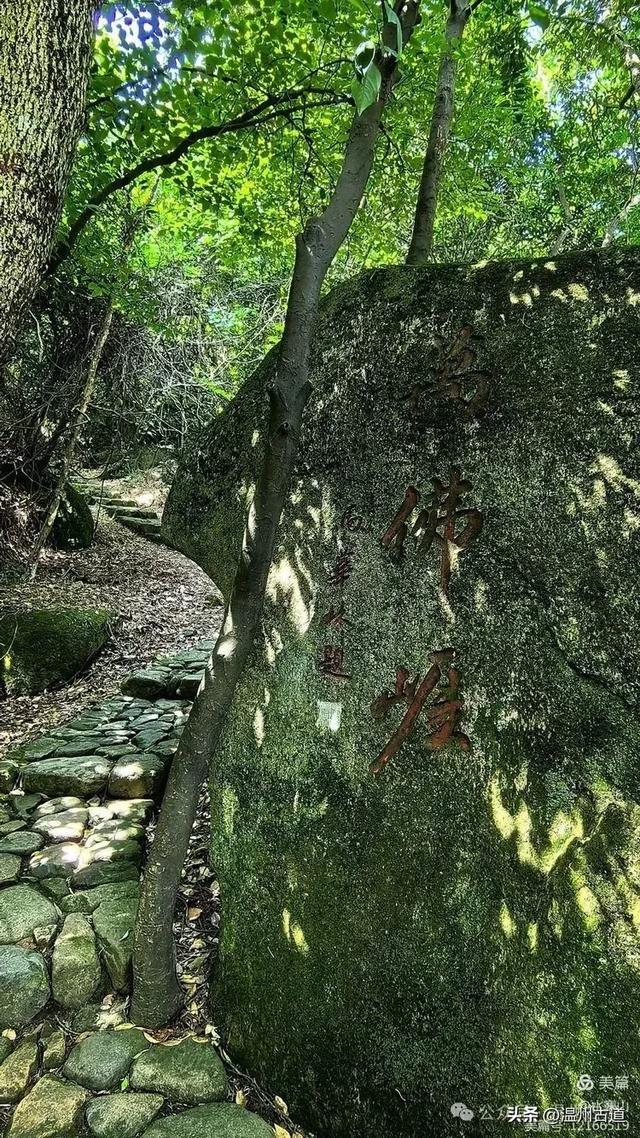 大多浙江人不知道的小众秘境，绿野仙踪！秘藏了“浙东第一古道"
