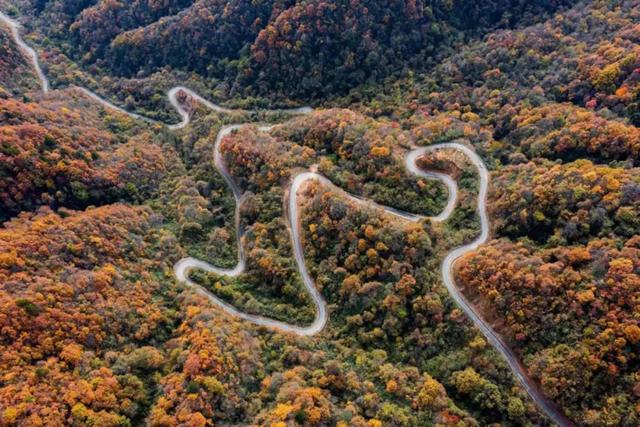 来洋县华阳!赴一场秋日之约~