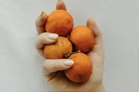 只坏了一点的水果，还能不能吃？图片